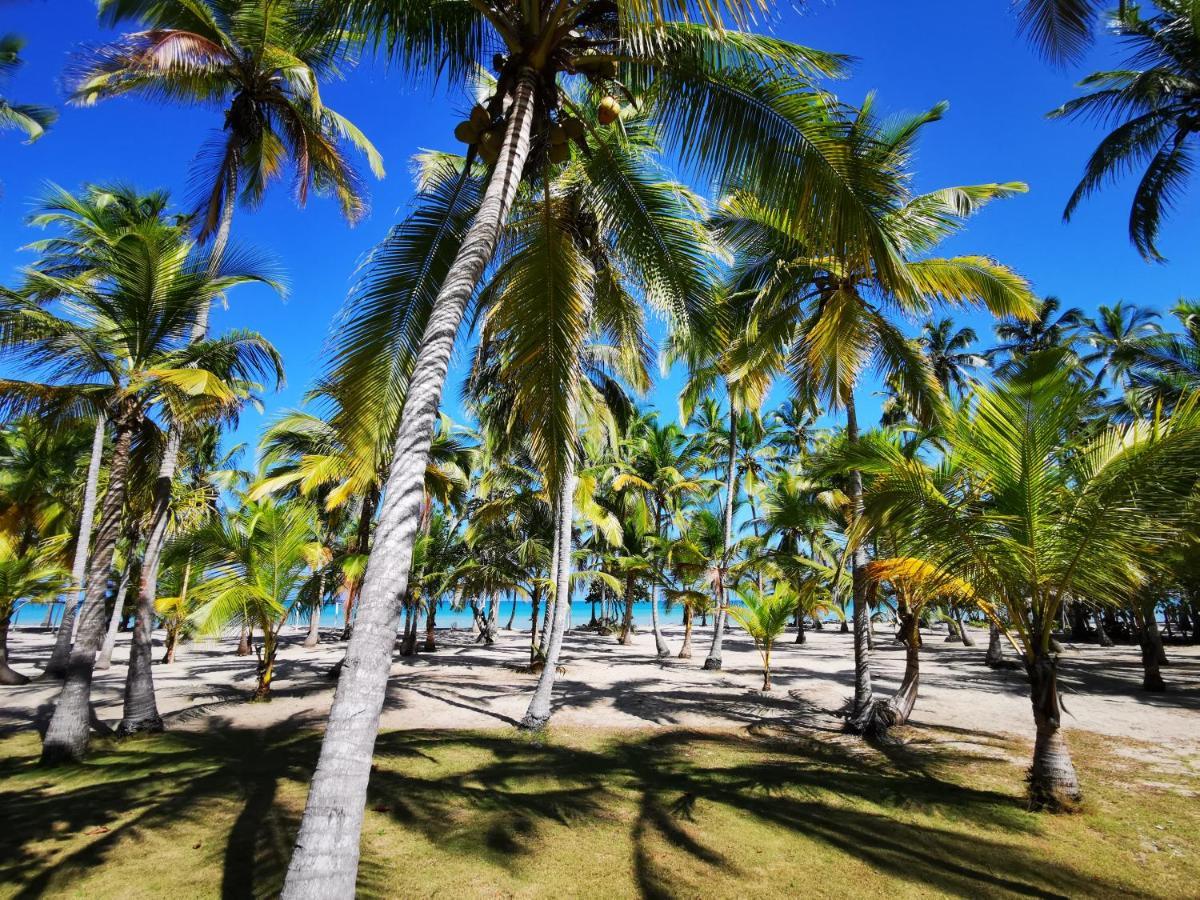 Hotel Playa Mandala Palomino Exterior foto