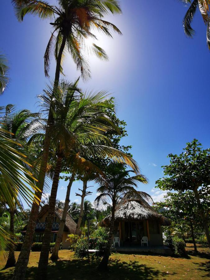 Hotel Playa Mandala Palomino Exterior foto