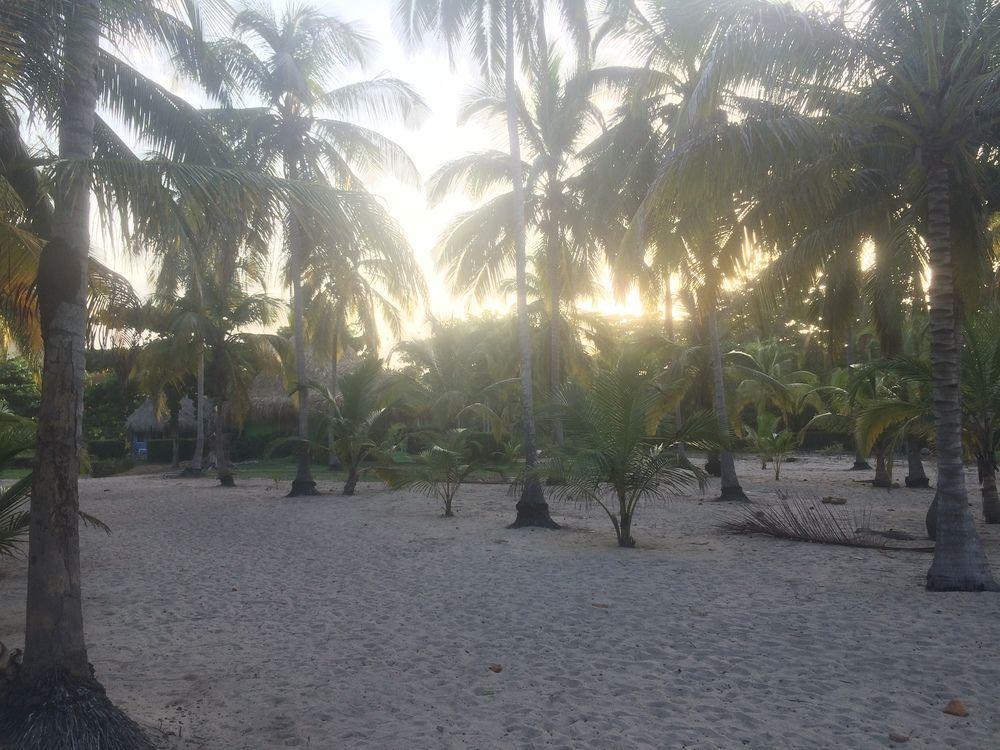 Hotel Playa Mandala Palomino Exterior foto